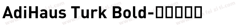 AdiHaus Turk Bold字体转换